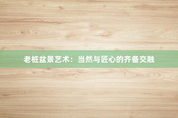老桩盆景艺术：当然与匠心的齐备交融