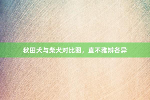 秋田犬与柴犬对比图，直不雅辨各异