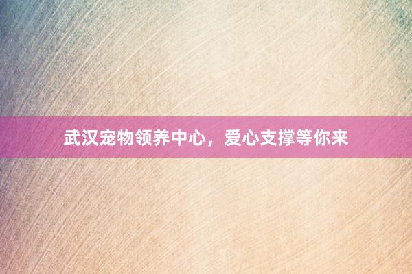 武汉宠物领养中心，爱心支撑等你来