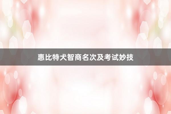 惠比特犬智商名次及考试妙技