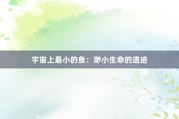 宇宙上最小的鱼：渺小生命的遗迹