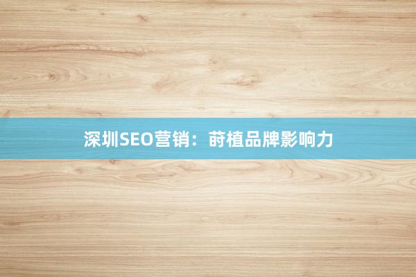 深圳SEO营销：莳植品牌影响力